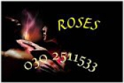 massage studio roses receptioniste gevraagd ?