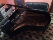 Piano's Blüthner vleugelpiano