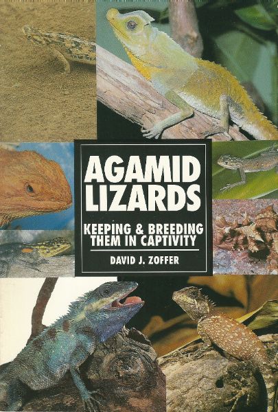 AGAMID LIZARDS Keeping & Breeding Them in Captivity - Perfect ex.