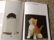 Studieboeken Een Boek van honden en een boek van katten ,lieve huisdieren
