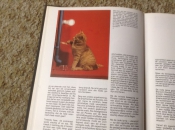 Studieboeken Een Boek van honden en een boek van katten ,lieve huisdieren