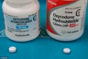 Oxycodon, Oxycontin ,Fentanyl 100ugl ,Oxazepam,Diazepam,Zopi