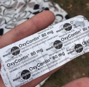 Oxycodon, Oxycontin ,Fentanyl 100ugl ,Oxazepam,Diazepam,Zopiclon,