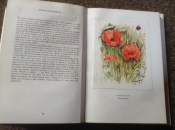 Studieboeken Prachtige franse boek van bloemsoorten;Fleurs sur ton chemin