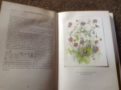 Studieboeken Prachtige franse boek van bloemsoorten;Fleurs sur ton chemin
