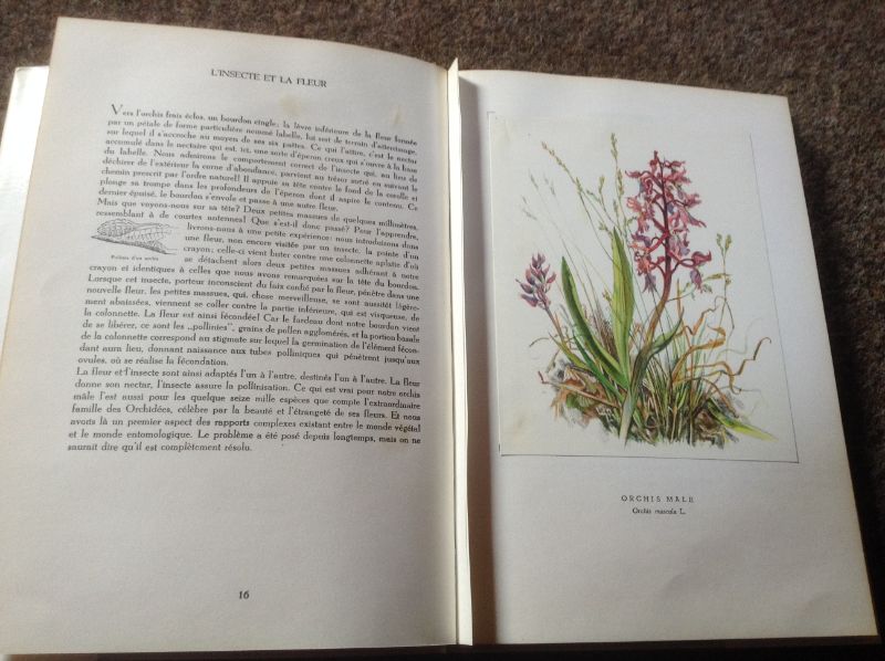 Prachtige franse boek van bloemsoorten;Fleurs sur ton chemin