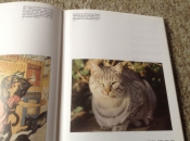 Flora en Fauna Een Boek van katten ,lieve schattige huisdieren