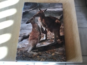 Australië ;Prachtig boek ,mooi en uitnemend natuur