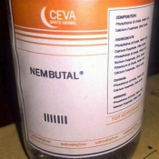 Bestel Nembutal (pentobarbital-natrium).