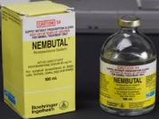 Pentobarbital (Nembutal): 100 mg / 300 mg pil te koop
