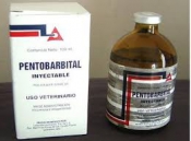 Bestellen Sie Nembutal (Pentobarbital-Natrium).